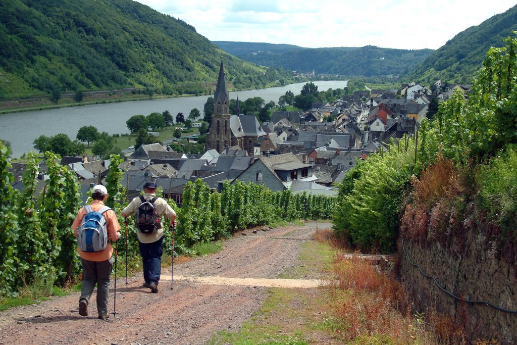 Wein- Und Gaestehaus St. Aldegundishof Sankt Aldegund Exterior photo