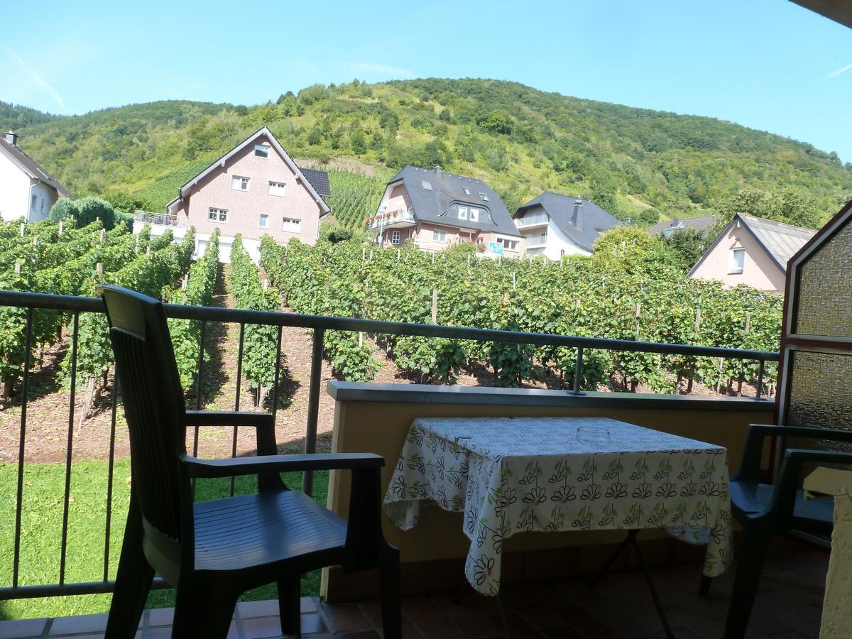 Wein- Und Gaestehaus St. Aldegundishof Sankt Aldegund Exterior photo